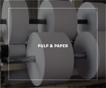 Pulp and Paper